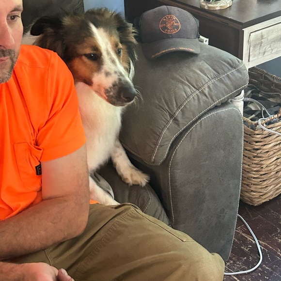 TAG LIST - Picture 2 of 12